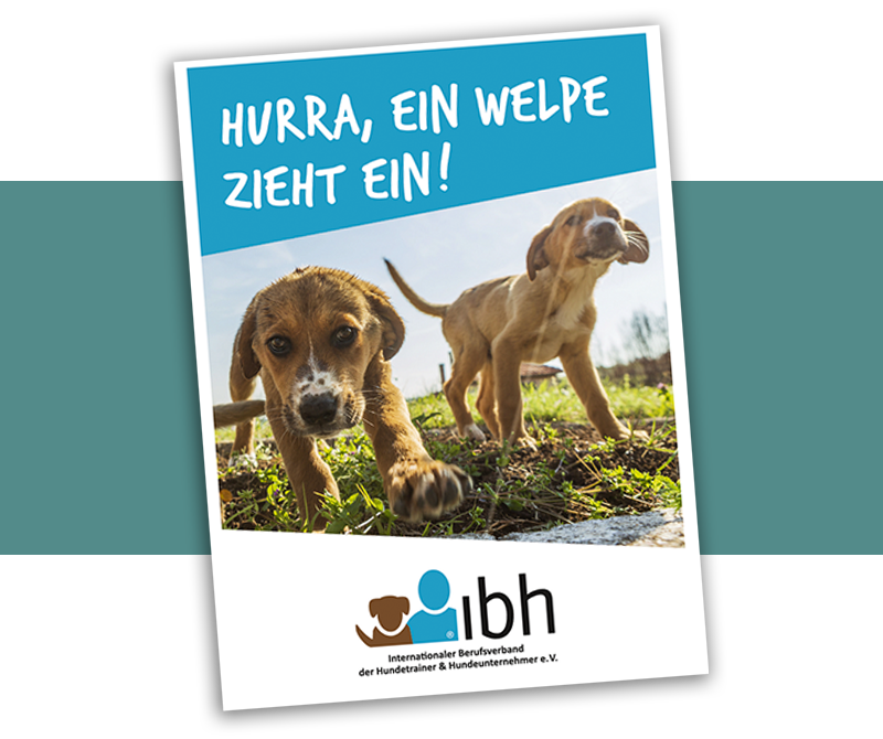 Buchempfehlung von Hundetrainerin Lili Richter aus Augsburg