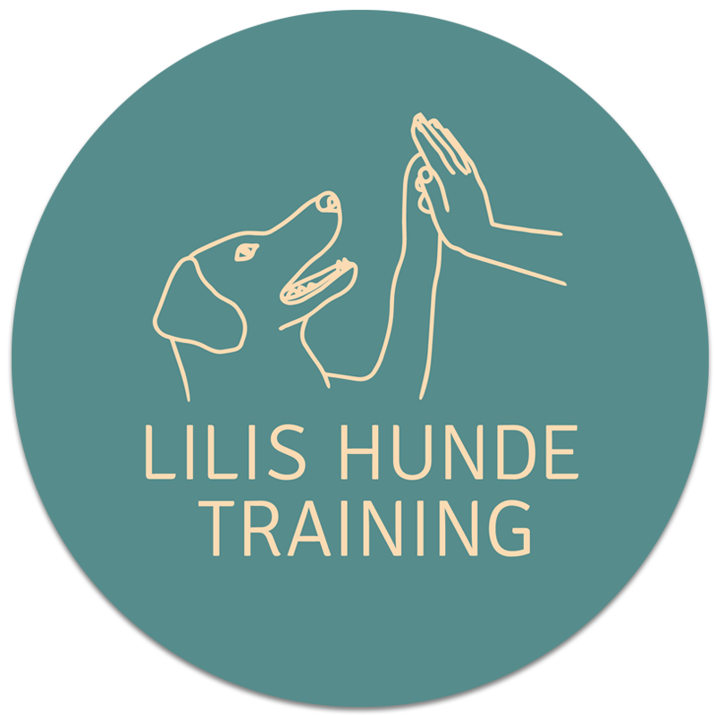 Lilis Hundetraining Augsburg